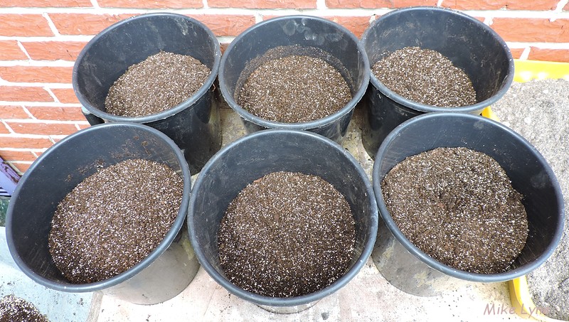 remplissage pots aux 2 tiers melange terreau terre de jardin vermiculite_DSCN1755.jpg